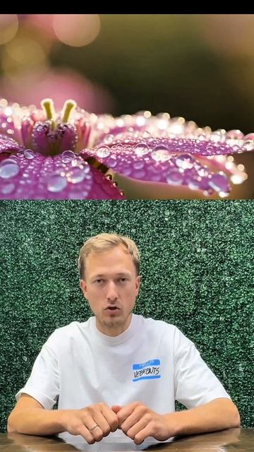 Бесплатная нейросеть для видео!