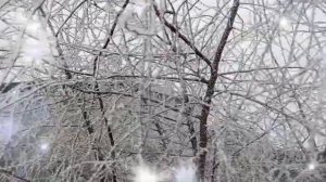 Иней на деревьях