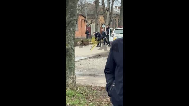 В Полтаве питбуль не согласился с задержанием полиции своего хозяина и доставлением его в ТЦК