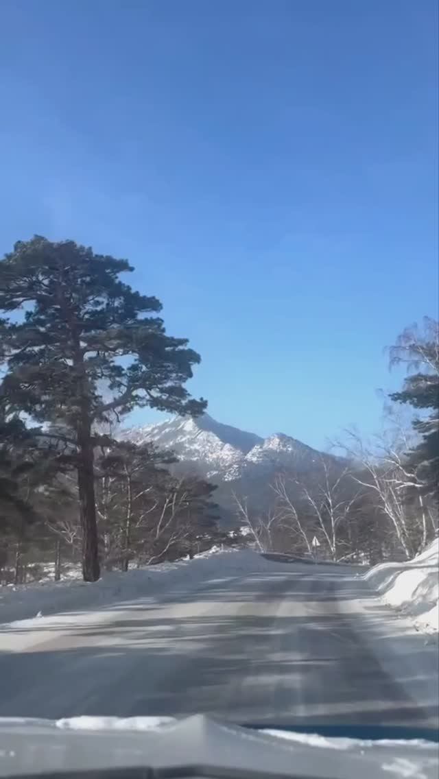 Дорога по заповедной зоне Бурабай. Казахстан.