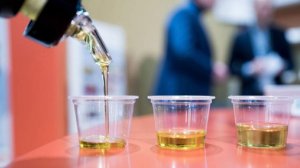 В 2025 году Россия экспортировала почти 1,6 млн т рапсового масла