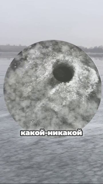 ОЧЕНЬ НАЕТАЯ ЩУКА!  #ИванЧичерин #зимняярыбалка #щука #casperslug