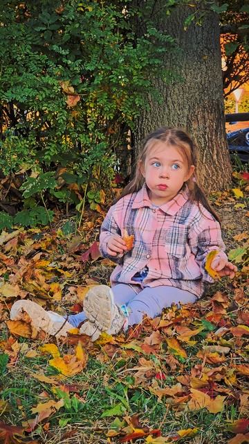 Пикник на газоне. Творожная трубочка и листопад