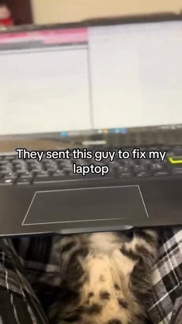 Они прислали мне этого парня, чтобы он починил мой ноутбук