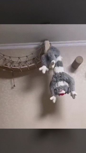 Старательный котейка