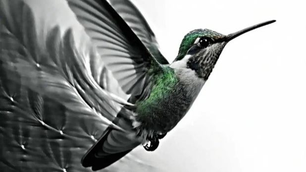 🌱КТО О ВАС ДУМАЕТ