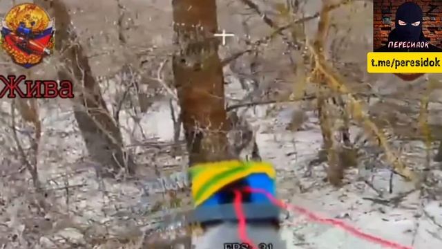 Зимнее сафари на ВСУшников смотреть онлайн