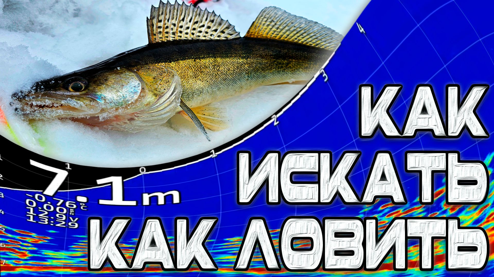 КАК ИСКАТЬ. КАК ЛОВИТЬ СУДАКА. Ловля судака с Panoptix смотреть онлайн