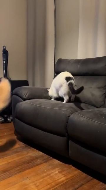 Место на диване.