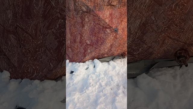 🎣ДВХ.4.02.26. 9:48. ЛЕЩЬ ПРЕТ. НО НЕ У НАС.