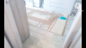 Заставка телеканала СТС