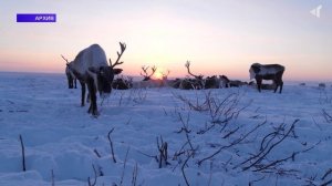 О ПОДДЕРЖКЕ ДЛЯ КОРЕННЫХ СЕВЕРЯН, 04.02.2026
