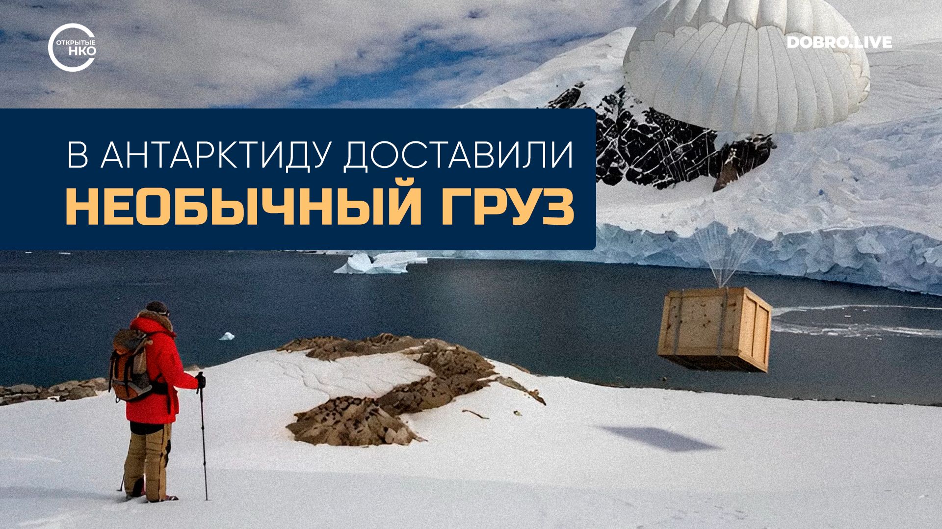 В России появился первый комикс о донорстве костного мозга «В твоих руках» смотреть онлайн