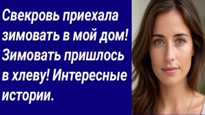 Истории со Смыслом/Свекровь приехала зимовать в мой дом! Зимовать пришлось в хлеву!/Аудиорассказ