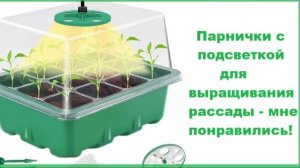 Купила парнички со встроенной подсветкой - идельно для нежных семян !