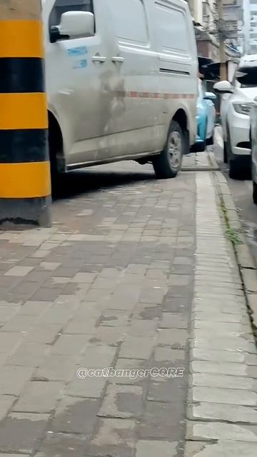 Wild but cute cat 🐱 #cat #viral #catcore #catcore