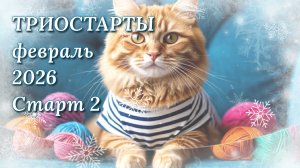 Старт 2 в СП Триостарты февраля. Начала вязать пинетки крючком.  Вязание для малышей.