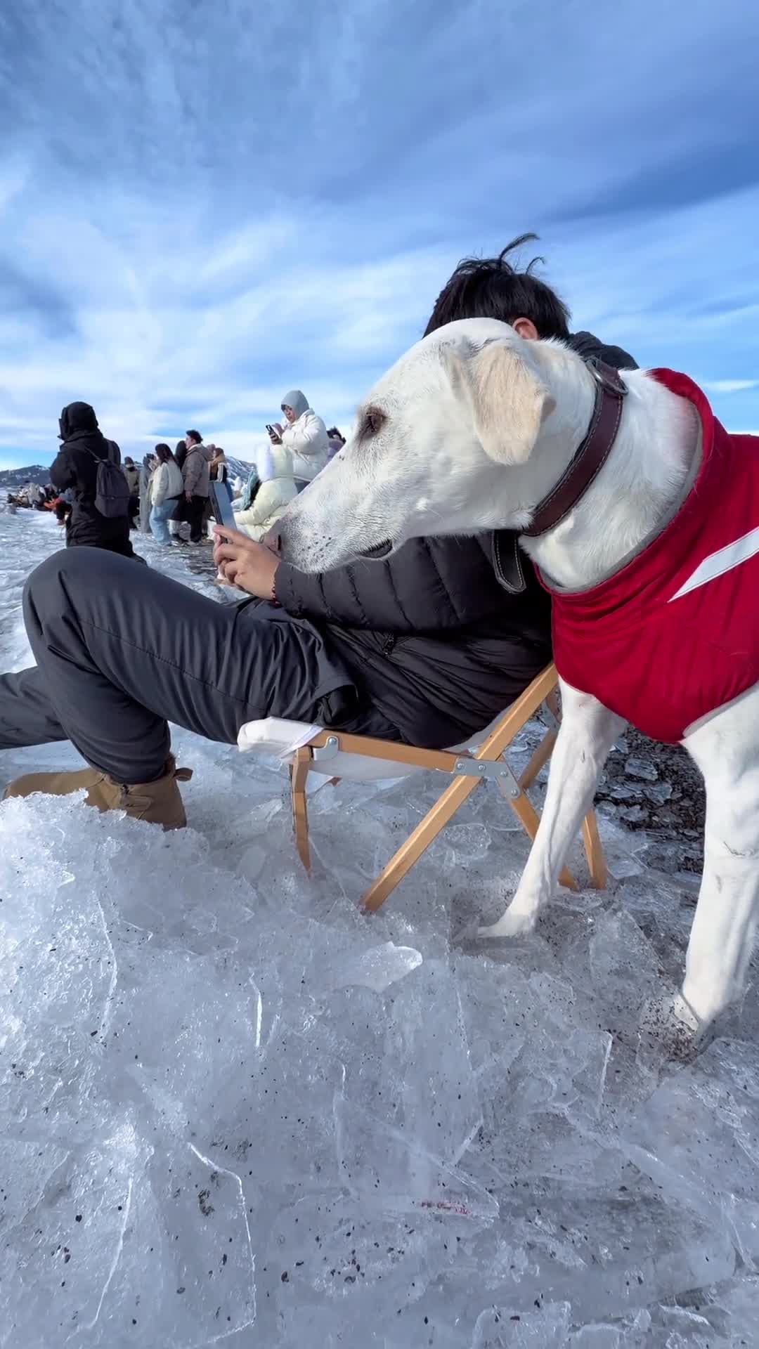 Красивое 🥰