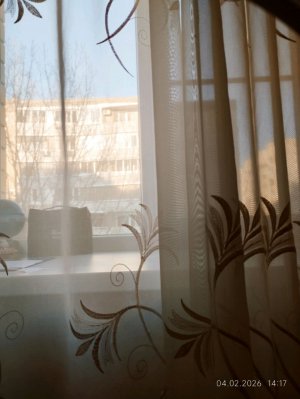 рассказываю о своём новом увлечении.