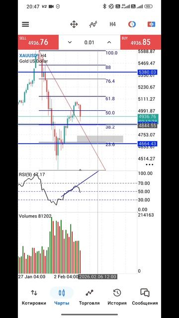 Золото Форекс на 5.02.2026