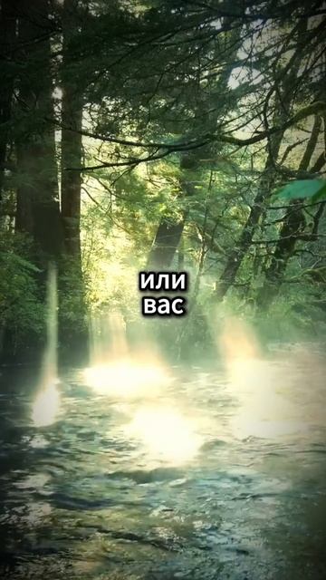 Все испытания нужно пройти