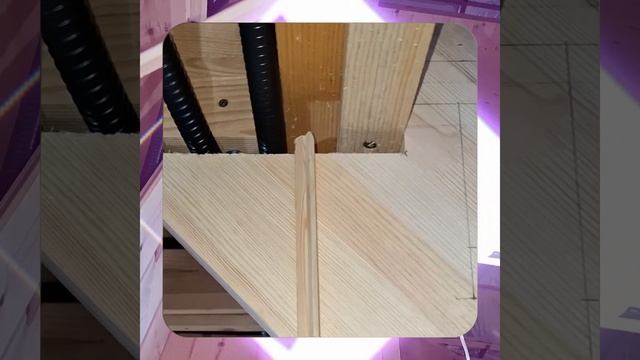 1000047871.mp4 (Собака наблюдает за устройством лестницы на 2 этаж в доме А-фрейм)