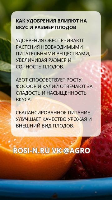 Как удобрения влияют на вкус и размер плодов