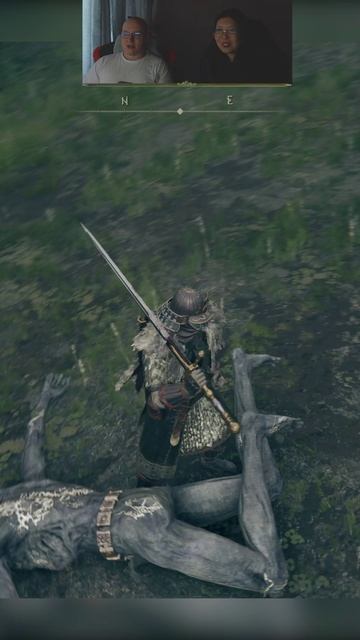 Вышла черепаха #eldenring