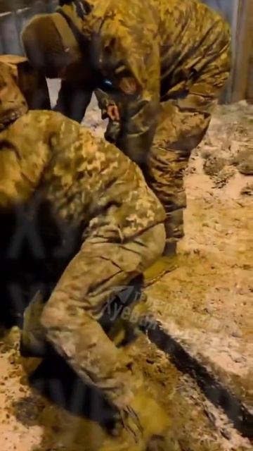 ТЦК лютует. смотреть онлайн