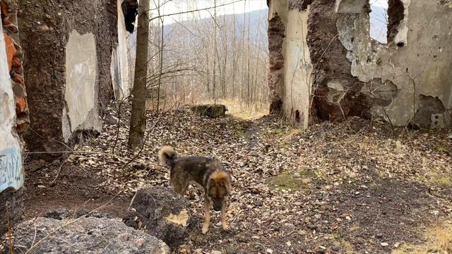 Верхняя Губаха, Пермский край.