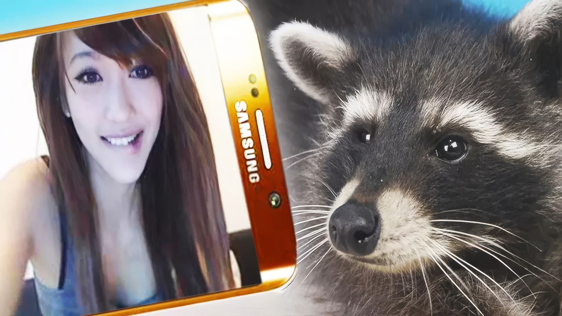 РЕАКЦИЯ на ЕНОТА в ЧАТРУЛЕТКЕ РЕАКЦИЯ на ЕНОТА в ЧАТРУЛЕТКЕ