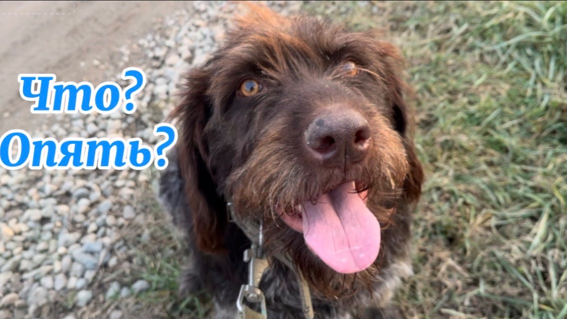 ❤️Зря порой на мужа обижаюсь/ Мы в своем репертуаре смотреть онлайн