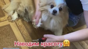 💥БУДНИ /💥ВСЁ ТАКИ Я КУПИЛА 😜