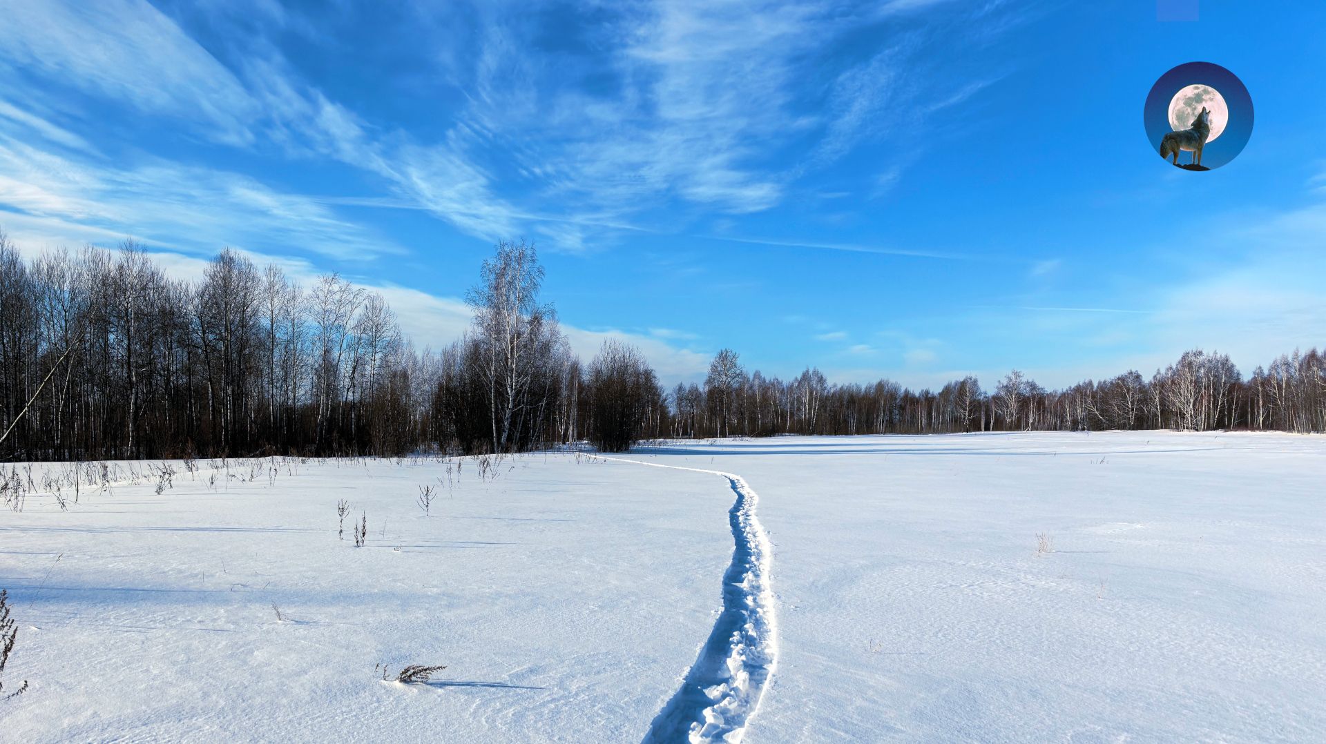 ДОБЫЛ ДВА ЗАЙЦА ИЛИ КАК ЛЫЖНЫЕ ГОНКИ ПОМОГАЮТ В ОХОТЕ НА ЗАЙЦЕВ смотреть онлайн