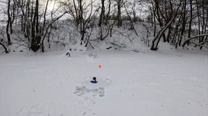 РЫБАЛКА В СИЛЬНЫЙ МОРОЗ!! ПРИНЕСЕТ ЛИ РЕЗУЛЬТАТЫ!? ЗИМНЯЯ РЫБАЛКА НА ЖЕРЛИЦЫ | РЫБАЛКА 2026