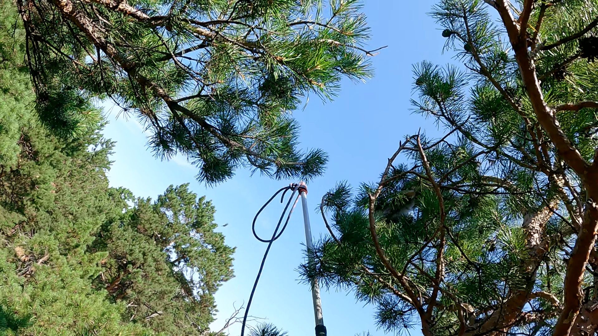 Шерстяная вредничает