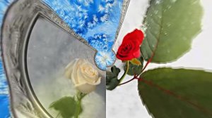 Розы на Снегу в Ледяной Галерее 2 от Киностудии Мудрого Кота Тимофея!