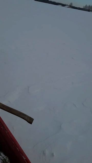 Как приучить к работе лошадь и не подавать её,не сорвать