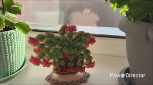 Мои творческие будни в январе 2026 года / алмазная мозаика / гравюра /скретчинг /вышивальные подарки