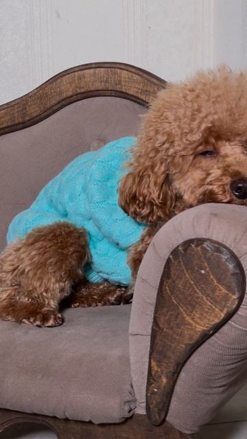 От нуля до 150К в месяц за 60 дней, моя реальная история