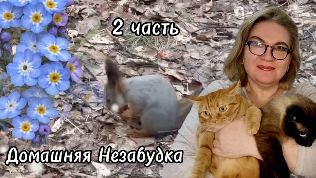 2 часть. Позор семьи❗️ смотреть онлайн