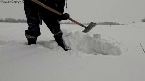 Жерлицы проверка. 1 день.