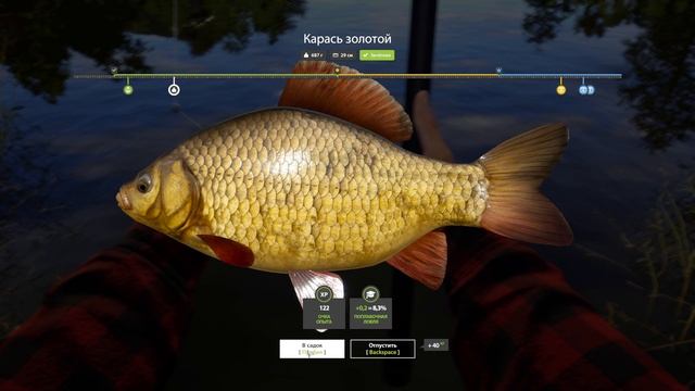 Russian Fishing 4 / Карасики и окуньки