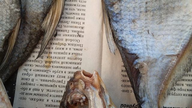 Речная рыба-сухая.