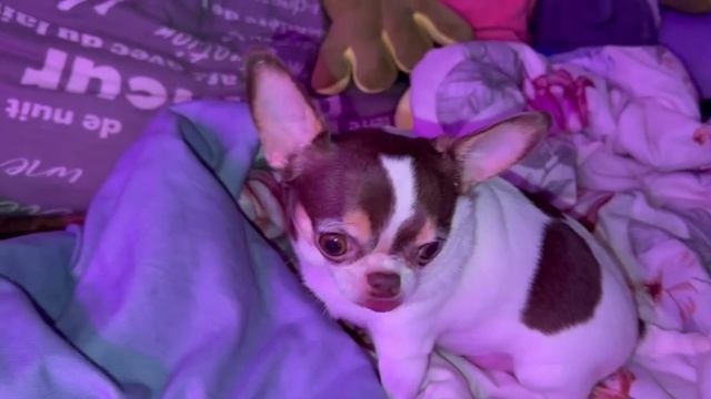 Всем наидобрейшего утречка и чудесного начала дня.