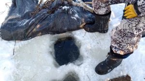 VID_20260125_13183425 января