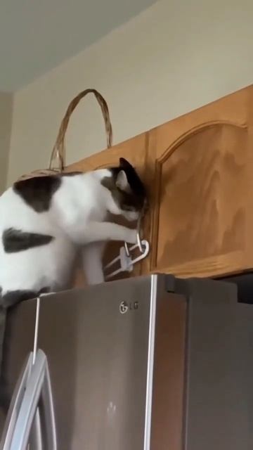 Замуровали демоны!!! смотреть онлайн