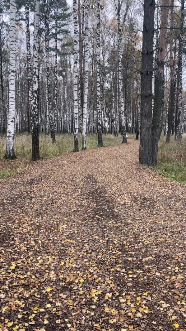 Осматриваемся #земнойирий #лосиныйостров #лосинаябиостанция #природа