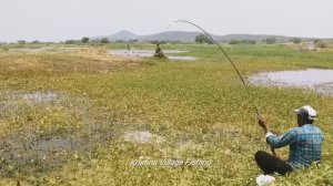 РЫБАЛКА В УНИКАЛЬНОМ СТИЛЕ