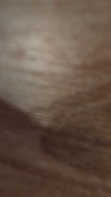 MC Zenitar-N 2.8/16 Fisheye #fisheye #zenitar #ussr #16mm